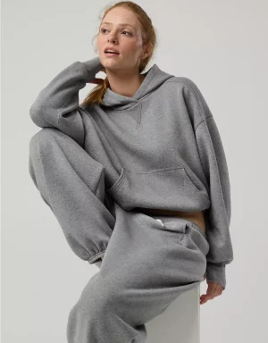 OFFLINE By Aerie Cloud Fleece Classic Length Hoodie