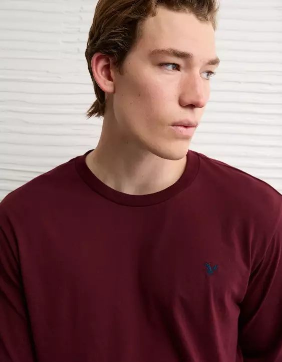 AE Lightweight Icon Long-Sleeve T-Shirt - Image 5