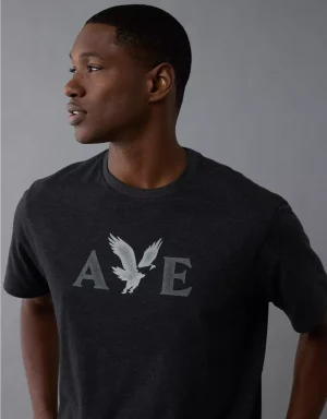 AE Lightweight Icon Logo Graphic T-Shirt