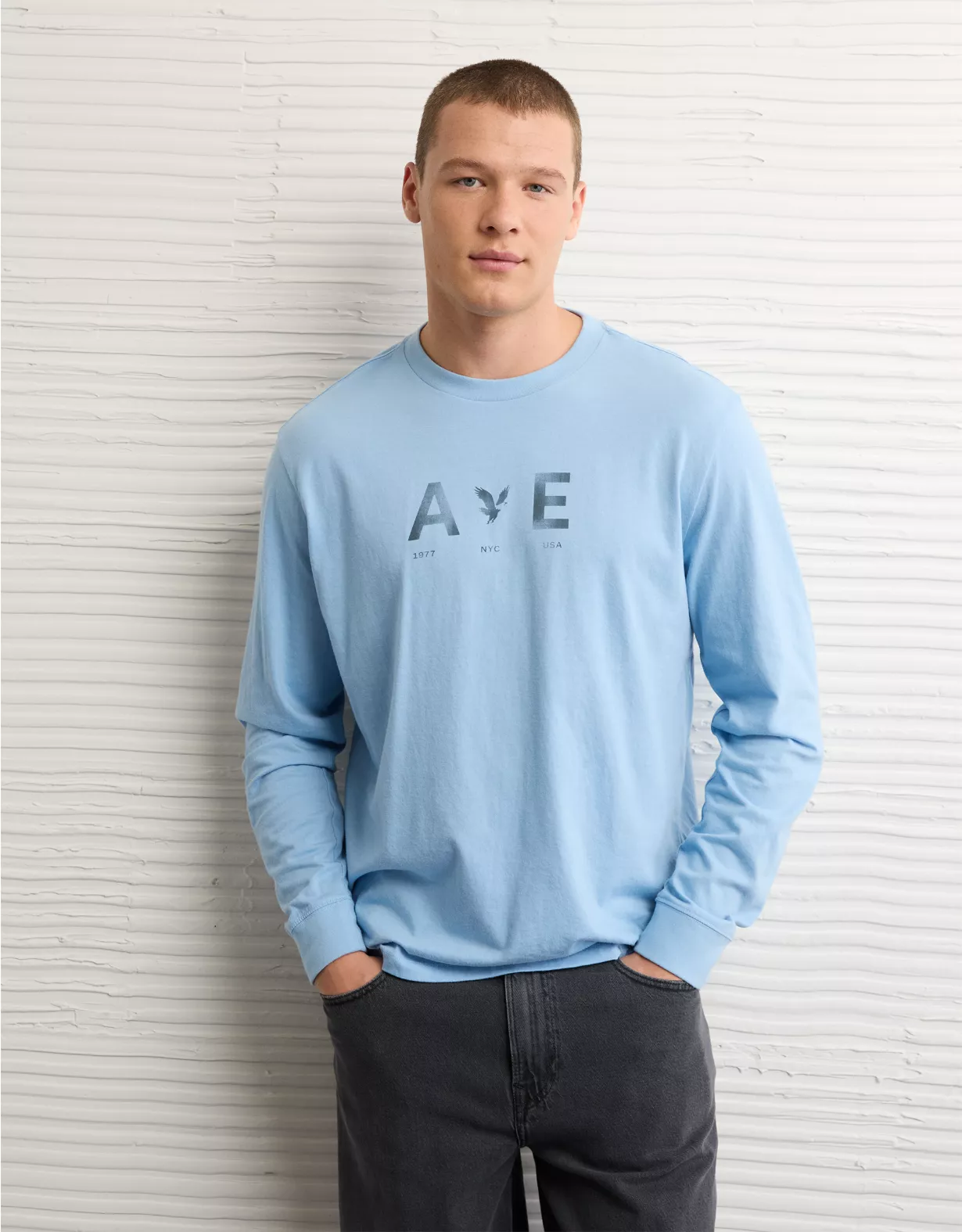 AE Icon Long-Sleeve T-Shirt