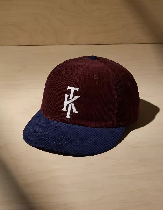AE x Tru Kolors Corduroy Baseball Hat - Image 3