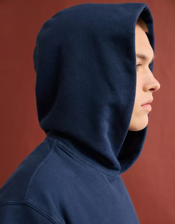 AE Laidback Luxe Heavyweight Graphic Hoodie - Image 9