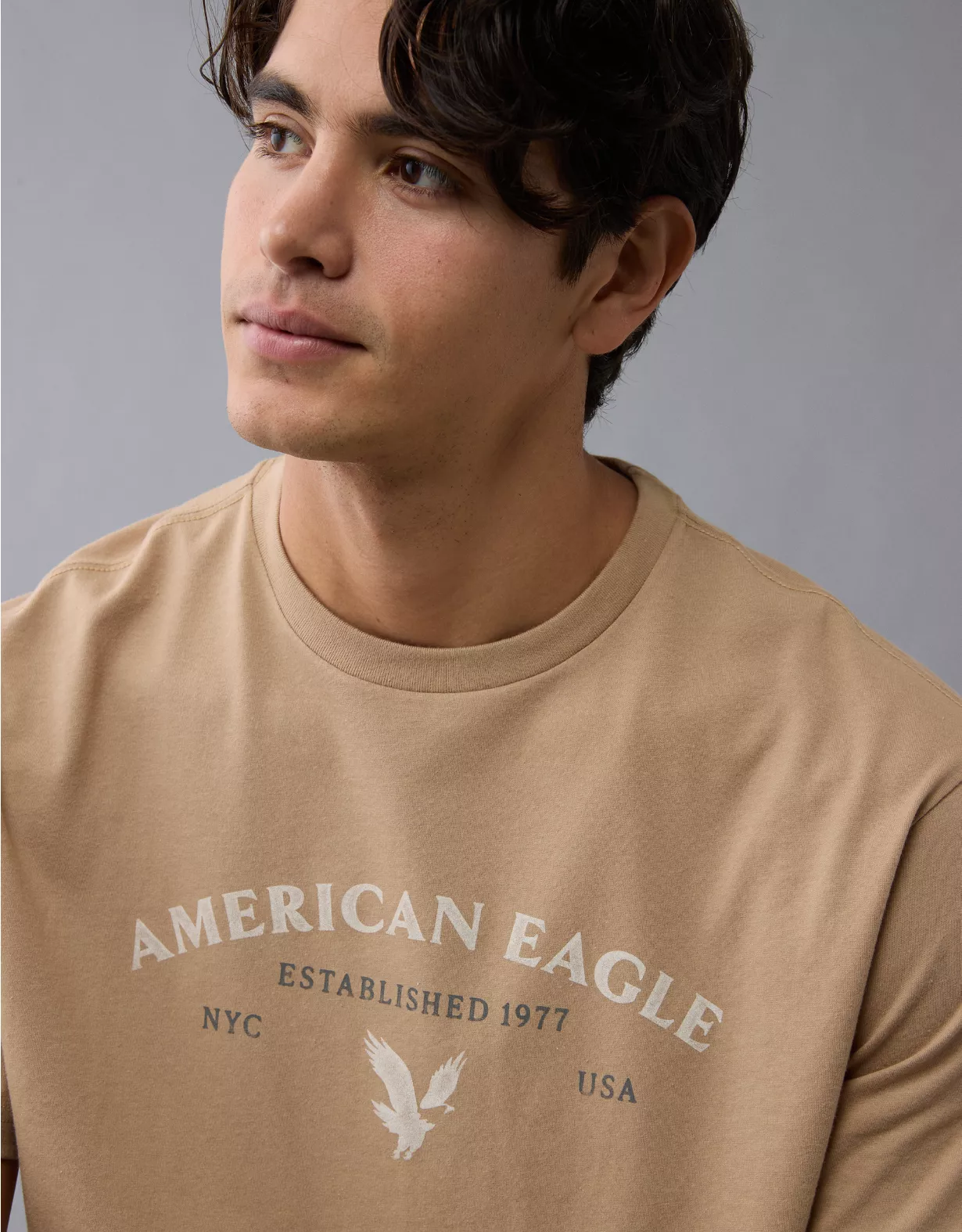 AE Lightweight Icon Logo Graphic T-Shirt